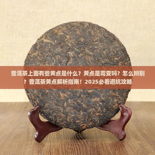 普洱茶上面有些黄点是什么