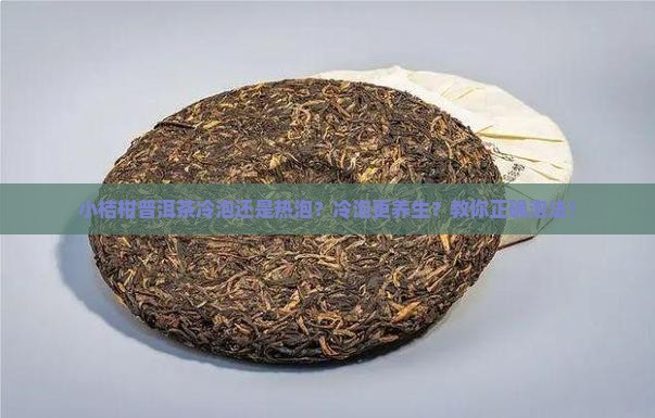 小桔柑普洱茶冷泡还是热泡