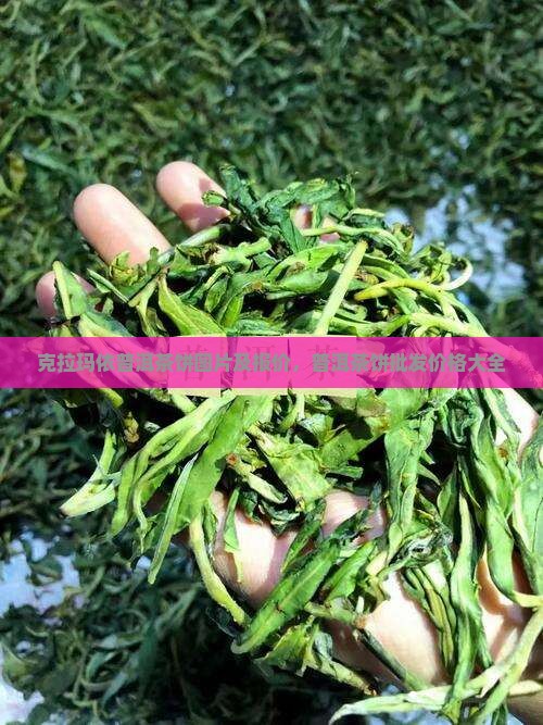 克拉玛依普洱茶饼