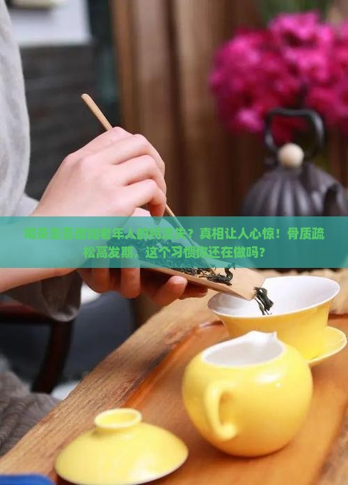 喝茶是否增加老年人的钙流失