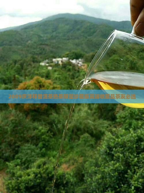 2009庆沣祥普洱茶熟茶