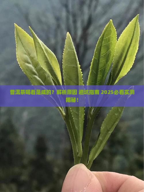 普洱茶喝着是咸的