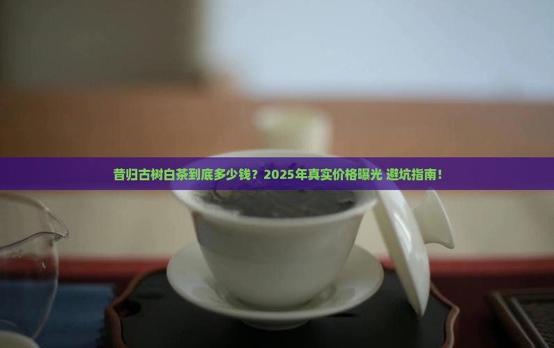 昔归古树白茶价格