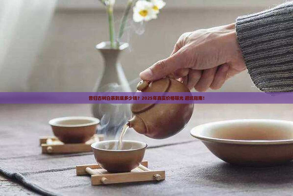 昔归古树白茶价格
