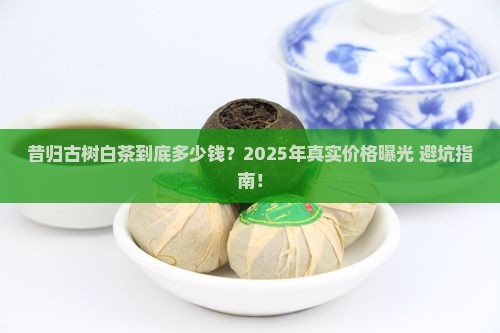 昔归古树白茶价格