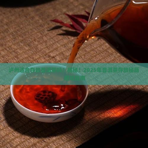 泸州适合存放普洱茶吗