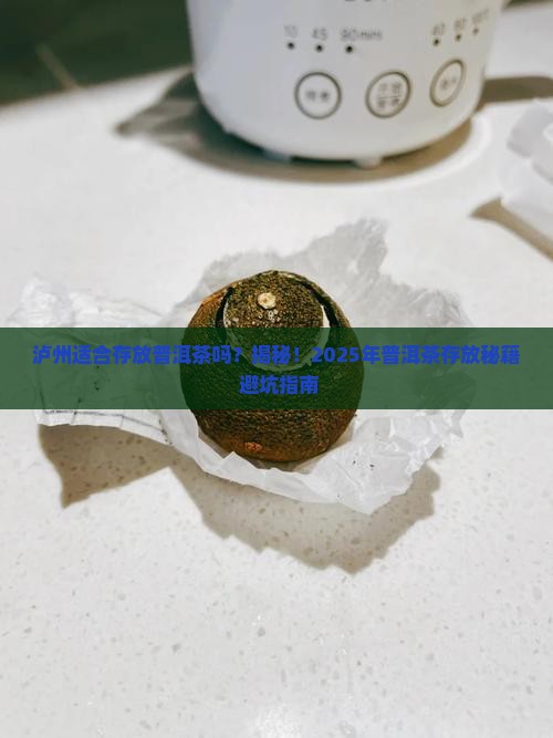 泸州适合存放普洱茶吗