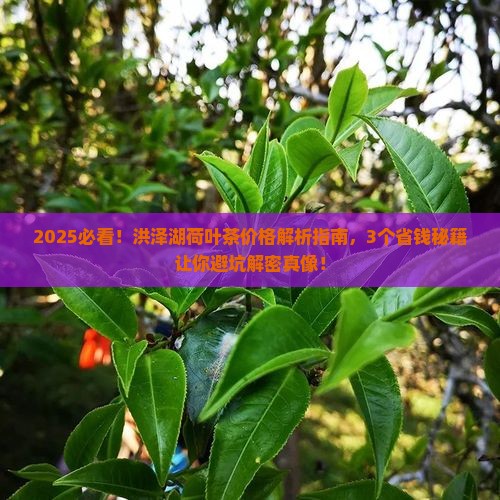 洪泽湖荷叶茶价格