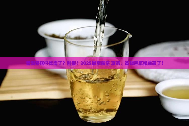 普洱茶工艺摆件上霉了