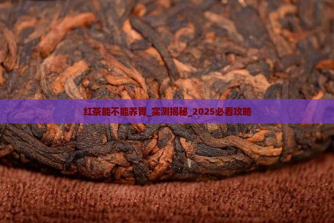 红茶能不能养胃