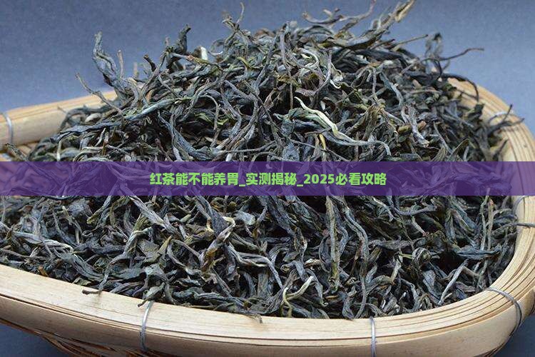红茶能不能养胃