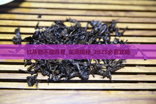 红茶能不能养胃
