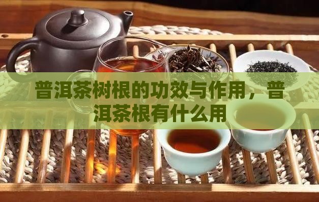 普洱茶根有什么用