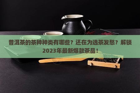 普洱茶的茶种种类
