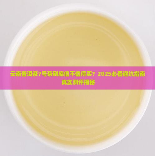 云南普洱茶7号茶