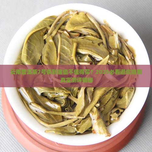 云南普洱茶7号茶