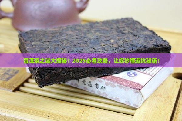 关于普洱茶的谜语