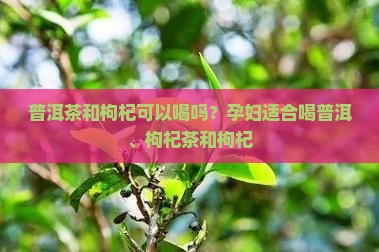 孕妇可以喝普洱茶和枸杞 孕妇可以喝普洱茶和枸杞