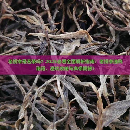 老班章是茗茶吗