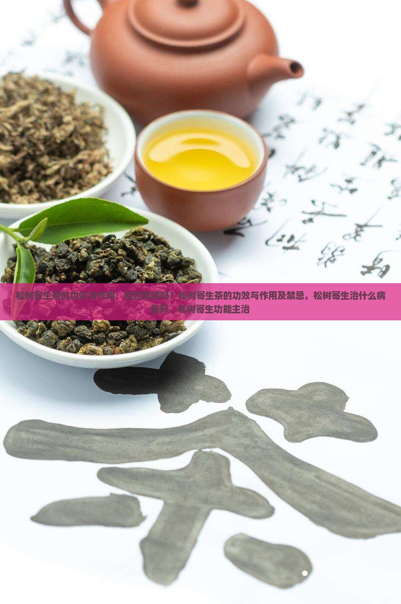 松树寄生茶的功效与作用