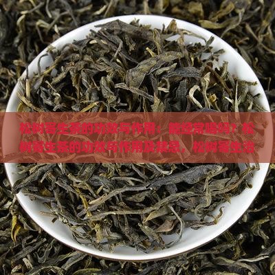 松树寄生茶的功效与作用