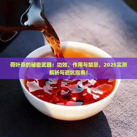 荷叶茶的功效与作用及禁忌是什么