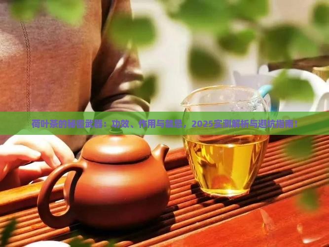 荷叶茶的功效与作用及禁忌是什么