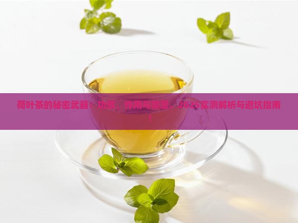 荷叶茶的功效与作用及禁忌是什么