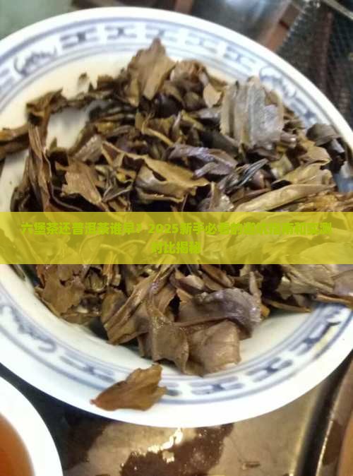 六堡茶还普洱茶谁早