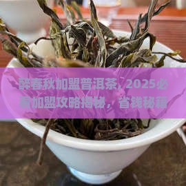 醉春秋加盟普洱茶