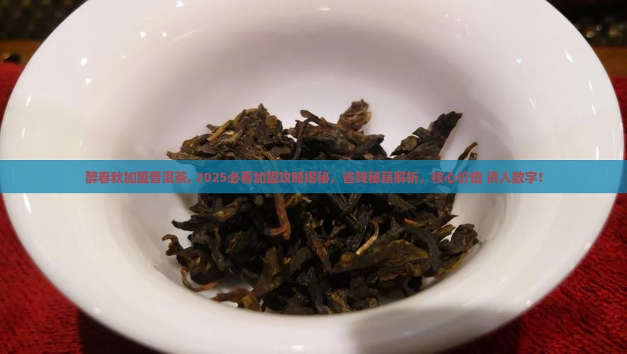 醉春秋加盟普洱茶