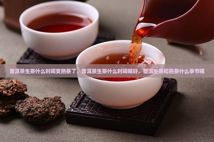 普洱茶生茶什么时间变熟茶