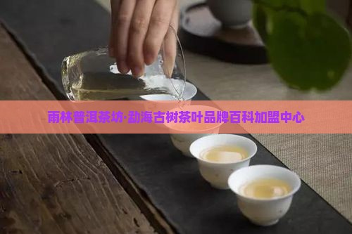 雨林普洱茶形象店铺