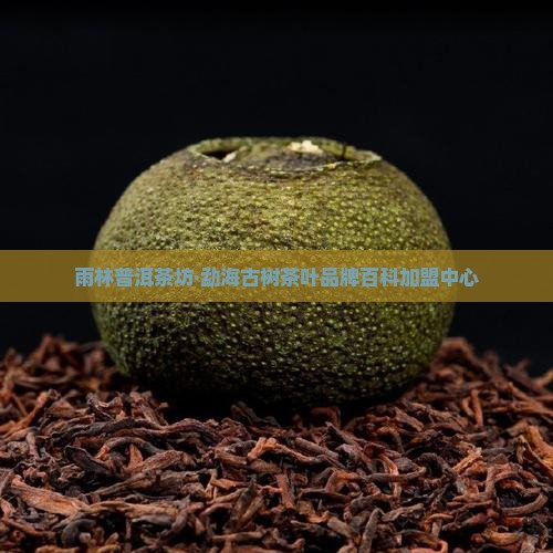雨林普洱茶形象店铺