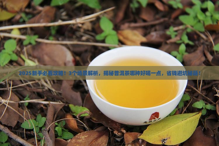 普洱茶哪种好喝一点