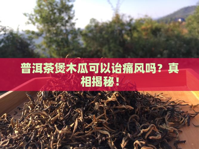 普洱茶煲木瓜可以诒痛风吗