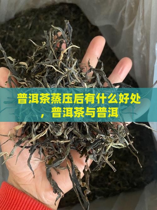普洱茶要蒸压后的好处是什么