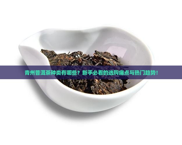 青州普洱茶种类