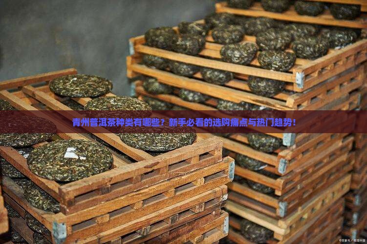 青州普洱茶种类