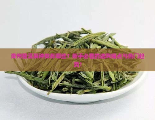 青州普洱茶种类
