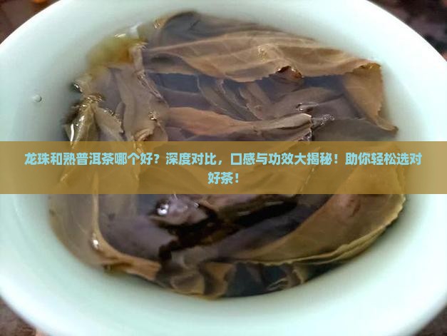 龙珠和熟普洱茶哪个好