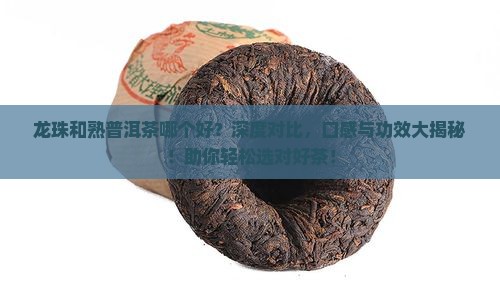 龙珠和熟普洱茶哪个好