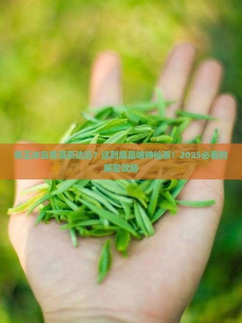 茶王冰岛普洱茶达远