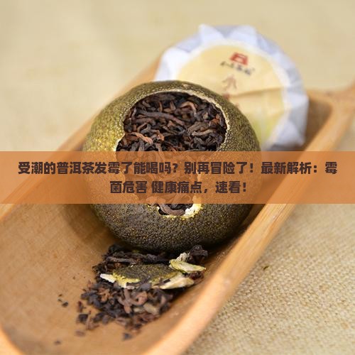 受潮的普洱茶发霉了能喝吗