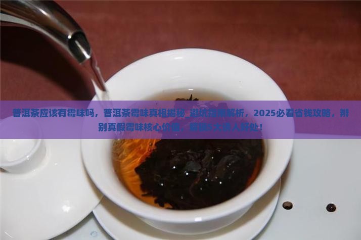 普洱茶应该有霉味吗