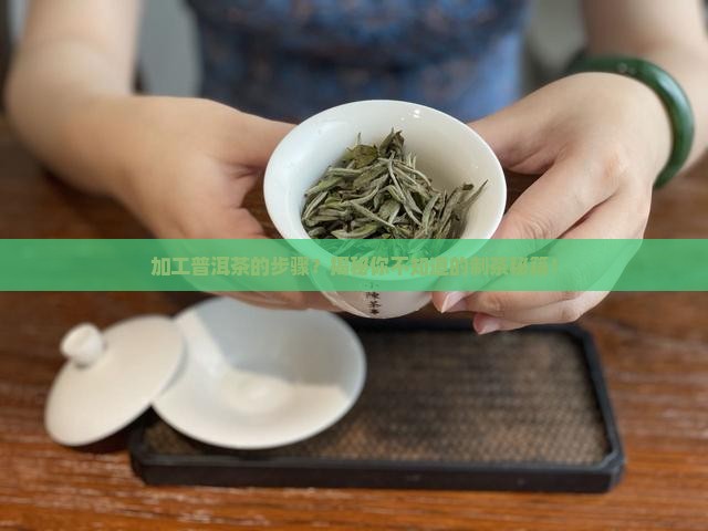 加工普洱茶的步骤
