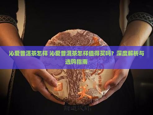沁爱普洱茶怎样