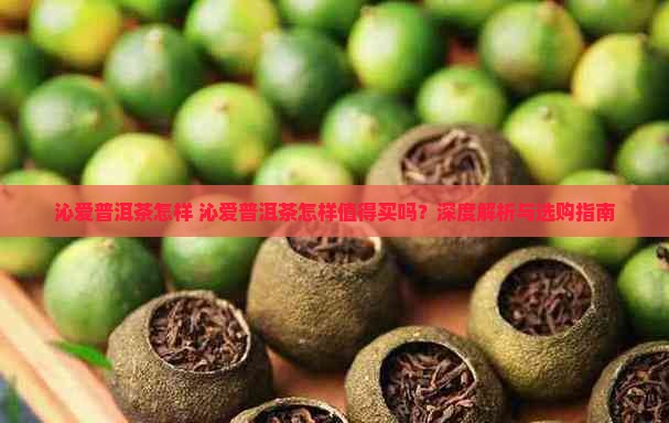 沁爱普洱茶怎样