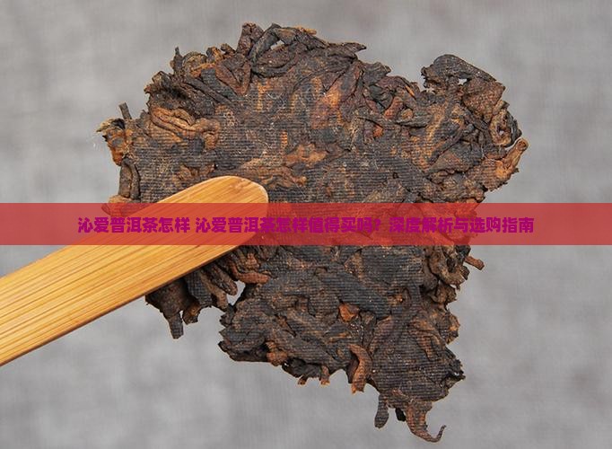 沁爱普洱茶怎样