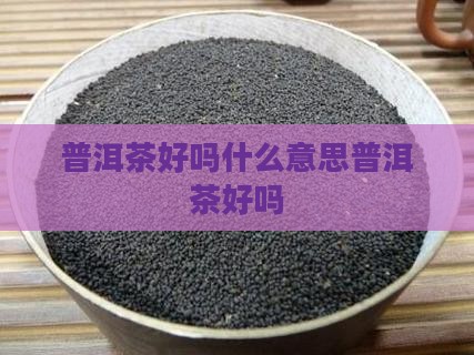 普洱茶好吗什么意思